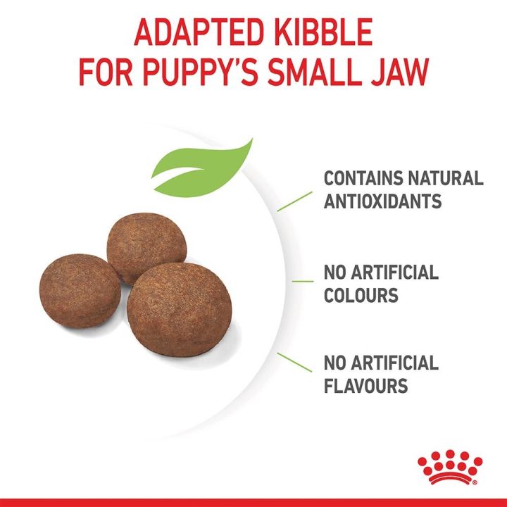 ส่งฟรี-royal-canin-medium-puppy-1kg-อาหารเม็ดลูกสุนัข-พันธุ์กลาง-อายุ-2-12-เดือน