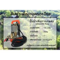 ขายถูก DC Submersible Pump แรงดันสูง 300W 12V-24V ท่อ1" Stainless สายไฟ 5 เมตร (ปั๊มน้ำ ปั้มจุ่ม ปั้มแช่ ปั๊มไดโว่ ปั๊มบาดาล) (ลด++) สายไฟ สายไฟฟ้า อุปกรณ์ไฟฟ้า  สายไฟTHW