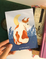 [ a cat in my tummy ] Postcard โปสการ์ด A6 ตกแต่งห้อง, เขียนอวยพร - Gracefully Gorgeous