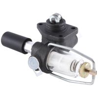 Engine Truck Parts Supply Pump Fuel Feed Pump 0440003176 for OM352 Pump for Lift Pump