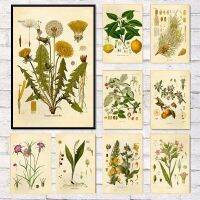 Vintage Wild Plant โปสเตอร์ดอกไม้พฤกษศาสตร์ศึกษาห้องนั่งเล่นแขวนภาพวาด Peony Picture Room ภาพวาดผ้าใบตกแต่งบ้าน