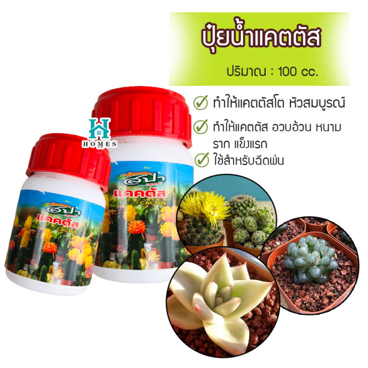 ปุ๋ยน้ำแคตตัส-ปุ๋ยแคตตัส-สูตรเข้มข้น-กระบองเพชร-ขนาด-100-ซีซี-homes