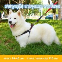 TOP C11 สายจูงสุนัข สายจูงแมว สายรัดอก Dog Jeans Harness with leash สายจูงสัตว์เลี้ยง SHEN3S