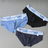 Low Waist Youth Mens Underwear Sexy Mens Briefs Fashionable Tight Summer Cotton Sports Breathable Briefs