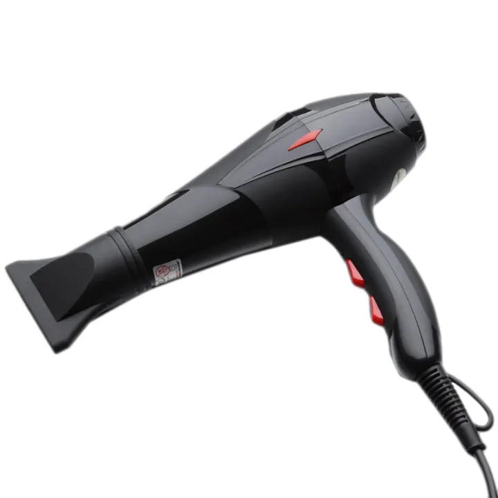 HOT-Professional Electric Hair Dryer Salon 3 Speed 2 Heat Hairdressing Blow  1000W Salon Blow Dryer EU Plug | Lazada PH