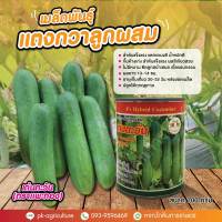 เมล็ดพันธุ์แตงกวาเด่นตะวัน (ตราแพะทอง) ขนาด 100 กรัม