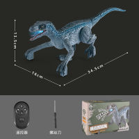 2022 New RC Dinosaur Toy Blue Velociraptor Remote Control Dinosaur Toys for Boys Jurassic World Raptor Dinozaur Gifts for Kids
