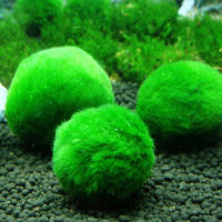 ลูกบอลสาหร่ายสีเขียวตู้ปลาเทียมสาหร่ายสำหรับตกแต่งตู้ปลา3-4ซม. อุปกรณ์เสริมที่สมจริงลูกบอลสาหร่ายสำหรับตู้ปลาลูกบอลสีเขียวประดิษฐ์ตกแต่ง