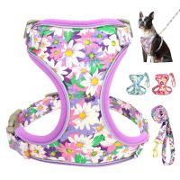 Colorful Print Dog Harness Leash Set Reflective Nylon Dogs Vest Harnesses With Lead Belt Rope for Small Medium Large Dogs Pug Collars