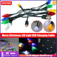 Led String Light สายชาร์จ Usb Luminous ตกแต่งโคมไฟกลางคืนสำหรับ Android Ios Phone