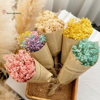 [AYIQ Flower Shop] 50G Gypsophile ช่อดอกไม้การหายใจเด็กทารกดอกไม้แห้งวันวาเลนไทน์กิ่งดอกไม้ธรรมชาตินอร์ดิกการตกแต่งบ้านอุปกรณ์แต่งงาน