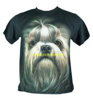 เสื้อลาย หน้าสุนัข ชิสุ shih tzu dog เต็มหน้า  ไซส์ยุโรป เสื้อยืดสีดำ สกรีนจมแน่น หน้าหลัง RCA214 ส่งจากกทม