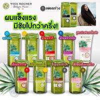 ชมพู ครีมนวด Yves Rocher anti hair loss gentle purify Anti Dandruff Shampoo Conditioner อีฟโรเช่ ลดผมร่วง [ รวมสูตร ]