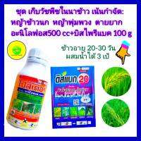 ชุด เก็บหญ้าในนาข้าว อายุ 20-30 วัน หญ้าดื้อยา วัชพืชตายยาก  อะนิโลฟอส 30% 500 + บิสไพรีแบค โซเดียม 20% ขนาด 100g  หญ้าข้าวนก หญ้าพุ่มพวง หญ้าลิเก