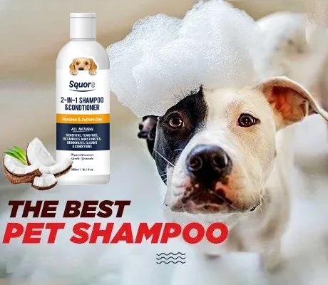 what dog shampoo is best for mange