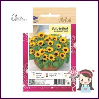 เมล็ดพันธุ์ซันไบร์ทคิดส์ ตราเจียไต๋SUNBRIGHT KIDS SEEDS CHIATAI **พลาดไม่ได้แล้วจ้ะแม่**