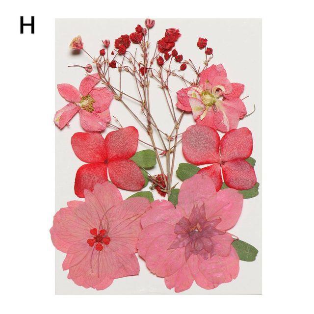 hot-cw-1pack-decoration-crafts-multi-purpose-pressed-flowers-real-dried-manual-embossed