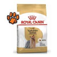 (ส่งฟรี)Royal Canin Adult Yorkshire Terriers ขนาด 500กรัม