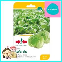 ผักกาดแก้ว โฟรเซ่น ศรแดงICEBERG LETTUCE SEED EAST-WEST SEED FROZEN **ทักแชทได้ค่ะ ยินดีบริการ**