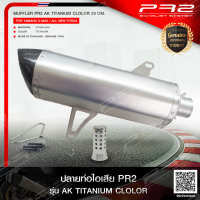 PR2 AK TITANIUM COLOR FOR YAMAHA XMAX 300 &amp; ALLNEW FORZA