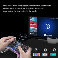 ZZOOI Wireless Gamepad for NS/NS Lite/NS OLED Gaming Accessories for Android/Windows 7