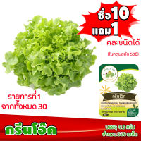 (ซื้อ10แถม1 ฟรีคู่มือ) เมล็ดพันธุ์ กรีนโอ๊ค GREEN OAK 0.5กรัม (ประมาณ 500เมล็ด) ทำมะชาดฟาร์ม ผักสลัด เมล็ดพันธุ์สลัด เมล็ดสลัด เม็ดผักสลัด