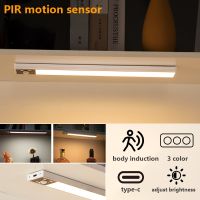 【CC】 3 Color In Lamp Sensor Multifunctional Type-c Rechargeable Night Wardrobe Closet