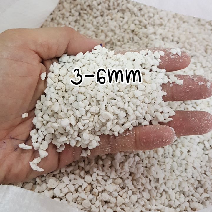 พอร์ไลท์-นำเข้า-ขนาด-3-6mm-แพ๊ค-1-ลิตร-และ-3-ลิตร-perlite-วัสดุเพาะ-วัสดุปลูก-วัสดุปลูกผัก-ไฮโดรโปรนิกส์-ผสมดิน-แคตตัส