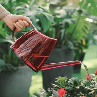 【CC】 Watering can Gardening Flowers Household mouth Hyaline Plastic Large base High-capacity Convenient