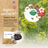 เมล็ดดอกไม้นำเข้า ดิล เก็บดอก Dill Bouquet (Organic Seed) ผักชีลาว Herb สมุนไพร ดอกไม้กินได้ ดึงดูดแมลงดี ล่อเต่าทอง