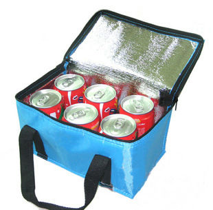 Foldable BBQ School Picnic 6 can Insulated Ice Cool Lunch Food Drink Box Bag