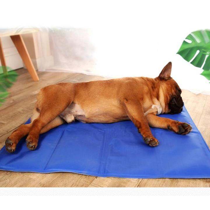 pet-cool-mat-ที่นอนสุนัข-แบบเย็น-ที่นอนแผ่นเจลเย็น-เย็นสบาย-รุ่นหนา90-50-cm-สำหรับสุนัขและแมว-สุนัข-เบาะรองนั่ง-รองนอน-ที่นอนหมา-ที่นอนน้