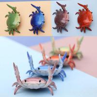 Creative Diy Weightlifting Crab Pen Holder Storage Desktop Decoration Ornaments Holder Small Pen Pen Ornaments Holder E1N9