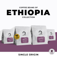 Cherrydog | เมล็ดกาแฟ คั่วอ่อน จาก เอธิโอเปีย (Ethiopia) | Single Origin (Filter)