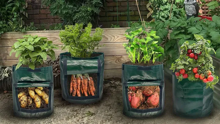 Garden Pot Planting Grow Bag