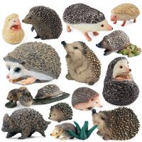 จำลองน่ารักตุ๊กตาสัตว์ป่าเหมือนจริงHedgehogเมาส์รุ่นของเล่นเด็กAction Figure Collectionเด็กการศึกษาของเล่นของขวัญ