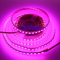 5M 5050 120LEDM DC12V LED Strip light Pink Color flexible light smd led tape