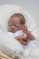 NPK 16Inch Reborn Doll Kit Daisy Small Size Premie Unfinished Unpainted Doll Parts DIY Unassembled