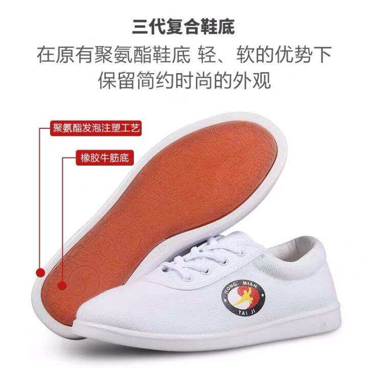 Kung fu 2025 shoes lazada