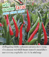 เมล็ดพันธุ์ พริกขี้หนู พริก ผลใหญ่ เรดฮอท -Pepper Red Hot ตราดอกแตง เมล็ดพันธุ์คุณภาพ "เพื่อนเกษตรกร"