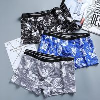 COD DSFERGWETERW Mens Underwear Youth Breathable Trendy Boys Boxer Briefs Sexy Shorts Head Pants