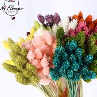 Natural Dried Gem Grass 20/55pcs Jewelry Grass Phalaris Preserved Flower Bouquet Living Room Hoom Boho Decor Photography Props