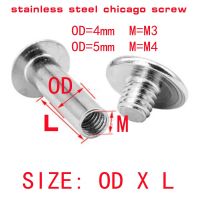 10Set Diameter Luar 4Mm 5Mm Baja Tahan Karat Chicago Sekrup Akun Album Foto Buku Sekrup Pantat Gratis