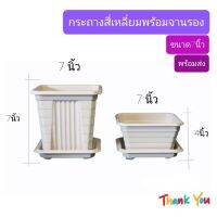 แนะนำ? กระถางสี่เหลี่ยมพร้อมจานรอง 7 นิ้ว