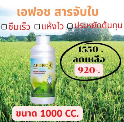 พร้อมส่ง ส่งไว  เอฟอช Aforch (1 ลิตร) สารจับใบ ชนิดเร่งดูดซึมไว เอฟอชปุ๋ยจอมยุทธ์