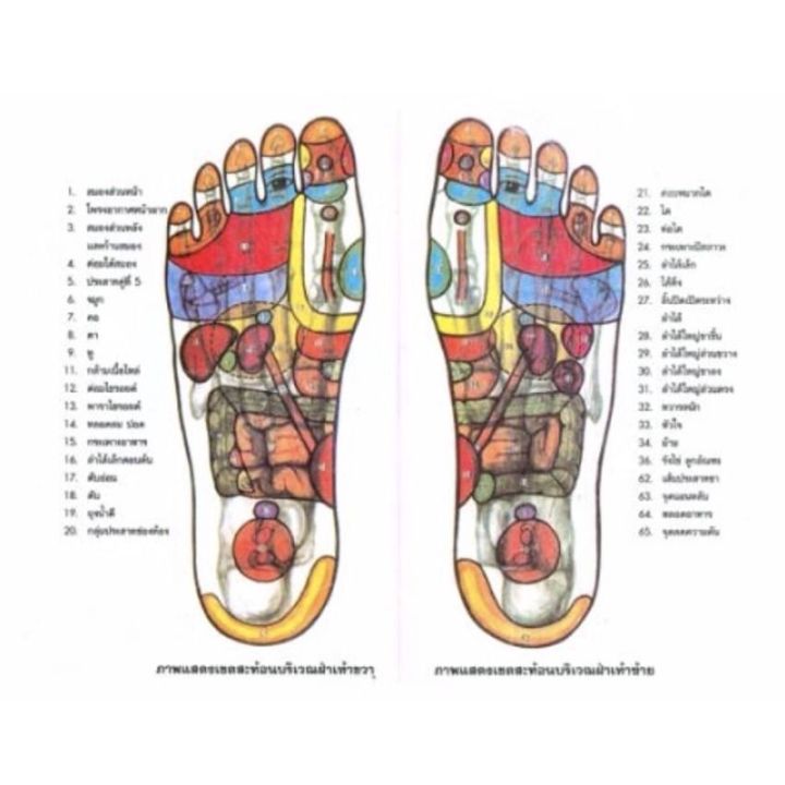 foot-massage-machine-เครื่องนวดเท้า-แผ่นแปะฝ่าเท้า-ไฟฟ้านวดกดตุดฝ่าเท้า-นวดเท้า-ฝ่าเท้า-เท้า-รองช้ำ-ขาชา-ฝังเข็ม-เมื่อย