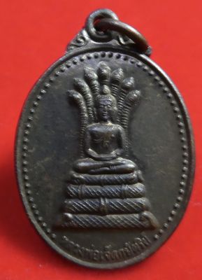 เหรียญหลวงพ่อเจ็ดกษัตริย์ หลวงปู่สอ วัดป่าบ้านหนองแสง ปี2550