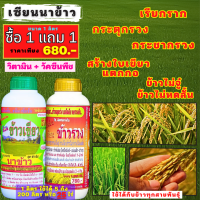 เซียนนาข้าว 1 แถม 1 ฮอร์โมนข้าว ฉีดพ่นทางใบ ปุ๋ยฉีดข้าว เรียกราก กระตุกรวง กระชากรวง สร้างใบเขียว แตกกอ ข้าวไม่หดสั้น