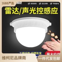 LED sound control lights sound and light control radar human body induction integrated aisle corridor delay ceiling bulb energy saving