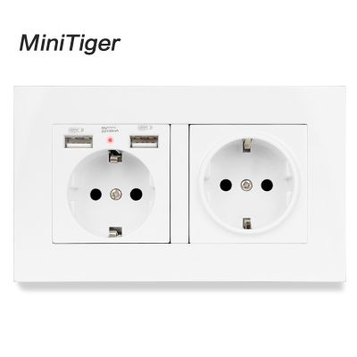 【NEW Popular89】 Minitiger 2 Gang RussiaEU ผนังมาตรฐานพร้อมที่ชาร์จ USB 2อัน PortSoftIndicatorPanel สีดำสีขาว
